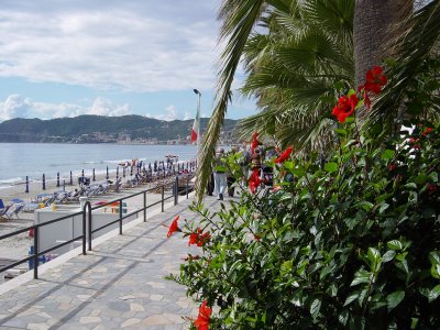 Boulevard Alassio, bloemenrivièra