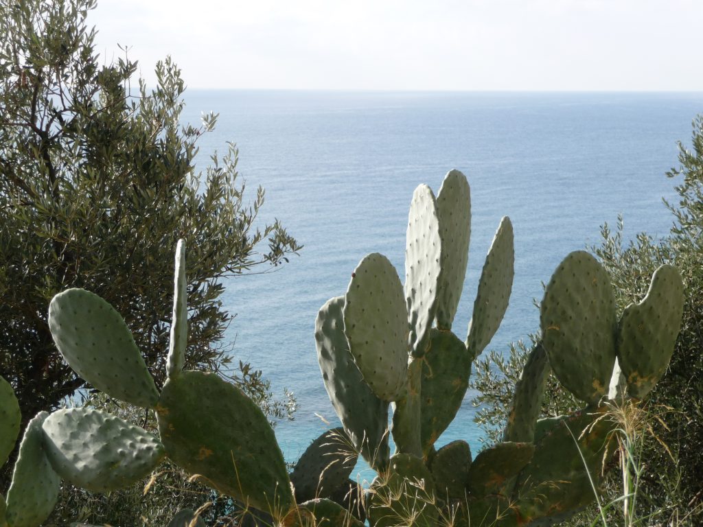 uitzicht vanaf Cervo, Bloemenrivièra, Italië op zee