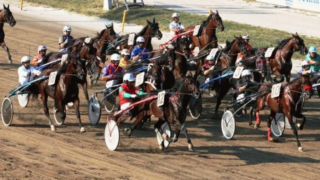 Paardenrenbaan / Paardenraces (Ippodromo dei Fiori) ( Villanova di Albenga) 